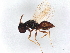  ( - BIOUG53912-D08)  @11 [ ] CreativeCommons - Attribution (2022) CBG Photography Group Centre for Biodiversity Genomics