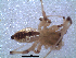  ( - NCA-2012_5965)  @11 [ ] CreativeCommons - Attribution Non-Commercial Share-Alike (2013) Robin Lyle Agricultural Research Council (ARC)