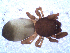  ( - NCA-2013_19)  @11 [ ] CreativeCommons - Attribution Non-Commercial Share-Alike (2013) Robin Lyle Agricultural Research Council (ARC)