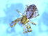  ( - NMS Bozen ARV 4944)  @11 [ ] CreativeCommons - Attribution Non-Commercial Share-Alike (2018) Alexander Rief Naturmuseum Südtirol