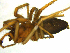  ( - NMS Bozen ARV 5270)  @11 [ ] CreativeCommons - Attribution Non-Commercial Share-Alike (2018) Alexander Rief Naturmuseum Südtirol