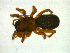  ( - NMS Bozen ARV 5362)  @11 [ ] CreativeCommons - Attribution Non-Commercial Share-Alike (2018) Alexander Rief Naturmuseum Südtirol