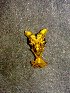  ( - AASFB-0291)  @11 [ ] Unspecified (default): All Rights Reserved  Manuel Medina Mex Unspecified