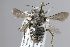  ( - MK-mk2083)  @11 [ ] nrr (2025) Unspecified Max Kasparek