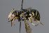  ( - MK-tuz045)  @11 [ ] nrr (2025) Unspecified Max Kasparek