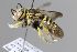  ( - MK-tuz051)  @11 [ ] nrr (2025) Unspecified Max Kasparek