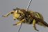  ( - MK-tuz069)  @11 [ ] nrr (2025) Unspecified Max Kasparek