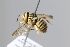  ( - MK-vl058)  @11 [ ] nrr (2025) Unspecified Max Kasparek