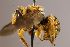  ( - Mbou097)  @11 [ ] nrr (2020) Unspecified Max Kasparek