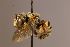  ( - Mbou121)  @11 [ ] nrr (2020) Unspecified Max Kasparek
