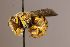  ( - Mbou156)  @11 [ ] nrr (2020) Unspecified Max Kasparek