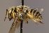  ( - Mbou254)  @11 [ ] nrr (2020) Unspecified Max Kasparek