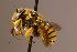  ( - Mbou255)  @11 [ ] nrr (2020) Unspecified Max Kasparek