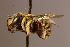  ( - Mons215)  @11 [ ] nrr (2020) Unspecified Max Kasparek
