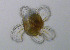  ( - RCPBTA0059)  @11 [ ] CreativeCommons - Attribution Share-Alike (2020) Unspecified Smithsonian Institution