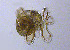  ( - RCPBTA0061)  @11 [ ] CreativeCommons - Attribution Share-Alike (2020) Unspecified Smithsonian Institution