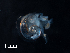  (Atlanta plana - Dubi 202)  @11 [ ] CreativeCommons - Attribution Non-Commercial Share-Alike (2019) STRI Smithsonian Tropical Research Institute