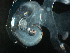  ( - Dubi 204)  @11 [ ] CreativeCommons - Attribution Non-Commercial Share-Alike (2019) STRI Smithsonian Tropical Research Institute
