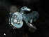  ( - Dubi 204)  @11 [ ] CreativeCommons - Attribution Non-Commercial Share-Alike (2019) STRI Smithsonian Tropical Research Institute