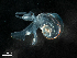  ( - Dubi 206)  @11 [ ] CreativeCommons - Attribution Non-Commercial Share-Alike (2019) STRI Smithsonian Tropical Research Institute
