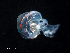  ( - Dubi 208)  @11 [ ] CreativeCommons - Attribution Non-Commercial Share-Alike (2019) STRI Smithsonian Tropical Research Institute