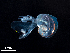  ( - Dubi 208)  @11 [ ] CreativeCommons - Attribution Non-Commercial Share-Alike (2019) STRI Smithsonian Tropical Research Institute