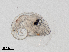  ( - Dubi238)  @11 [ ] CreativeCommons - Attribution Non-Commercial Share-Alike (2019) Maycol Madrid Smithsonian Tropical Research Institute