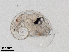  ( - Dubi238)  @11 [ ] CreativeCommons - Attribution Non-Commercial Share-Alike (2019) Maycol Madrid Smithsonian Tropical Research Institute