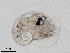  ( - Dubi238)  @11 [ ] CreativeCommons - Attribution Non-Commercial Share-Alike (2019) Maycol Madrid Smithsonian Tropical Research Institute