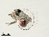  ( - Dubi255)  @11 [ ] CreativeCommons - Attribution Non-Commercial Share-Alike (2019) Maycol Madrid Smithsonian Tropical Research Institute