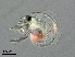 ( - Dubi255)  @11 [ ] CreativeCommons - Attribution Non-Commercial Share-Alike (2019) Maycol Madrid Smithsonian Tropical Research Institute