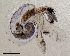 ( - Dubi51)  @11 [ ] CreativeCommons - Attribution Share-Alike (2019) Unspecified Smithsonian Tropical Research Institute