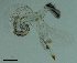  ( - Dubi94)  @11 [ ] CreativeCommons - Attribution Share-Alike (2019) Unspecified Smithsonian Tropical Research Institute