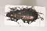  ( - TLMF Col 00073)  @12 [ ] CreativeCommons - Attribution Non-Commercial Share-Alike (2013) Peter Huemer Tiroler Landesmuseum Ferdinandeum