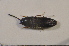  ( - TLMF Col. 00176)  @12 [ ] CreativeCommons - Attribution Non-Commercial Share-Alike (2013) Peter Huemer Tiroler Landesmuseum Ferdinandeum