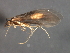  ( - 08ABCAD-0239)  @12 [ ] CreativeCommons - Attribution (2009) Unspecified Centre for Biodiversity Genomics