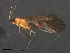  ( - 08ABCAD-0249)  @12 [ ] CreativeCommons - Attribution (2009) Unspecified Centre for Biodiversity Genomics