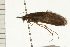  ( - 08ABCAD-0003)  @13 [ ] CreativeCommons - Attribution (2008) Unspecified Centre for Biodiversity Genomics