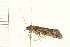  ( - 08ABCAD-0025)  @13 [ ] CreativeCommons - Attribution (2008) Unspecified Centre for Biodiversity Genomics