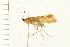  ( - 08ABCAD-0028)  @13 [ ] CreativeCommons - Attribution (2008) Unspecified Centre for Biodiversity Genomics