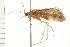  ( - 08ABCAD-0030)  @12 [ ] CreativeCommons - Attribution (2008) Unspecified Centre for Biodiversity Genomics