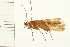  ( - 08ABCAD-0035)  @13 [ ] CreativeCommons - Attribution (2008) Unspecified Centre for Biodiversity Genomics