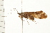  ( - 08ABCAD-0111)  @13 [ ] CreativeCommons - Attribution (2008) Unspecified Centre for Biodiversity Genomics
