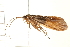  ( - 08ABCAD-0156)  @14 [ ] CreativeCommons - Attribution (2008) Unspecified Centre for Biodiversity Genomics