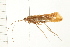  ( - 08ABCAD-0165)  @13 [ ] CreativeCommons - Attribution (2008) Unspecified Centre for Biodiversity Genomics