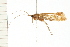 ( - 08ABCAD-0171)  @13 [ ] CreativeCommons - Attribution (2008) Unspecified Centre for Biodiversity Genomics