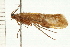 ( - 08ABCAD-0213)  @13 [ ] CreativeCommons - Attribution (2008) Unspecified Centre for Biodiversity Genomics