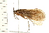  ( - 08ABCAD-0214)  @14 [ ] CreativeCommons - Attribution (2008) Unspecified Centre for Biodiversity Genomics