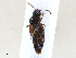  ( - CBG-A21629-A06)  @11 [ ] CreativeCommons - Attribution Share - Alike (2024) CBG Photography Group Centre for Biodiversity Genomics