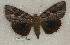  ( - 014-87-030799-LA)  @14 [ ] Copyright (2008) Unspecified Research Collection of Robert J. Borth